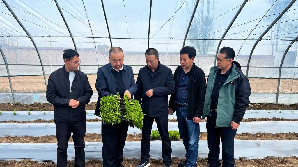 榆中试验站（场）举办辣椒育苗移栽及绿色防控技术培训会及观摩会